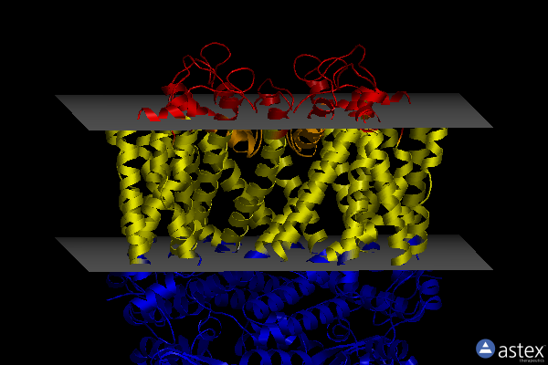 Membrane view of 7lfw