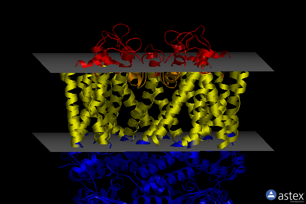 Membrane view of 7lg1
