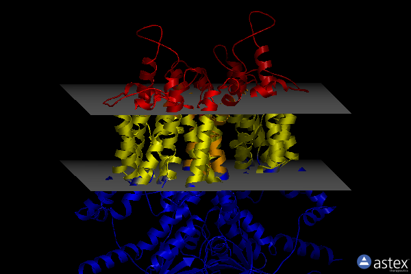 Membrane view of 7lgw