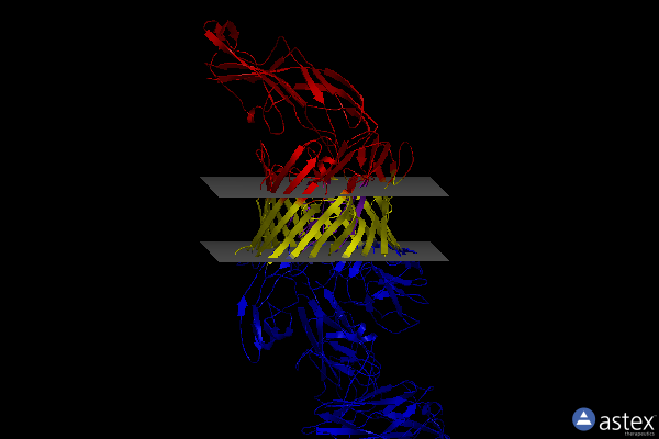 Membrane view of 7lhi