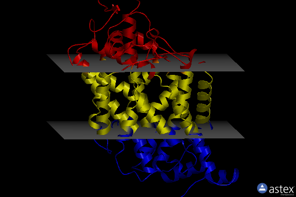 Membrane view of 7li6