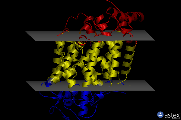 Membrane view of 7li9