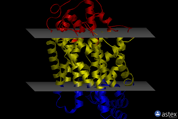Membrane view of 7lia