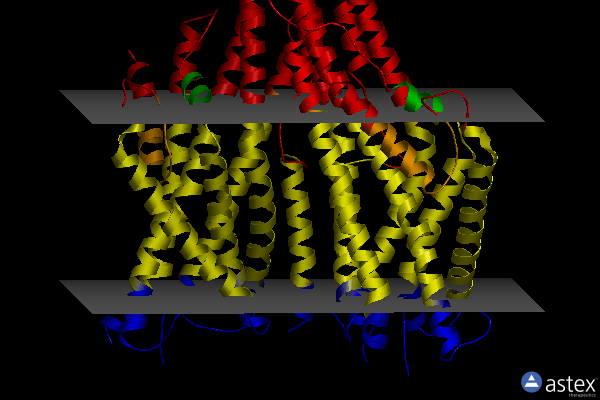 Membrane view of 7lid