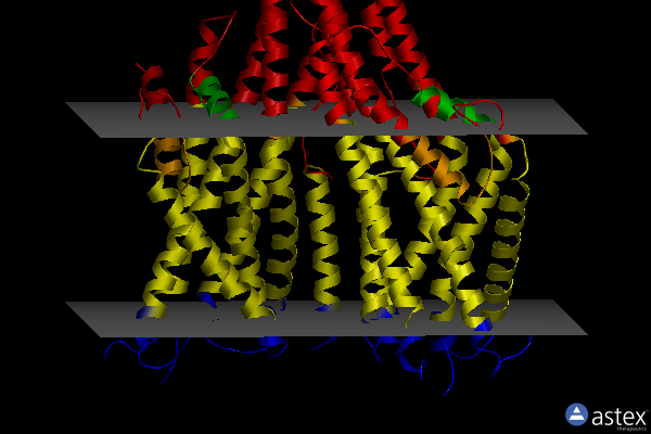 Membrane view of 7lig