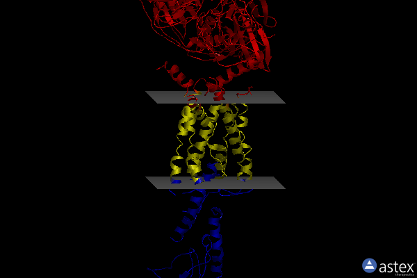 Membrane view of 7lll