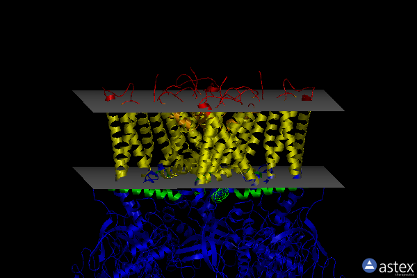 Membrane view of 7lp9