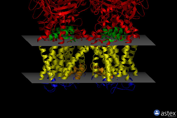 Membrane view of 7lpd