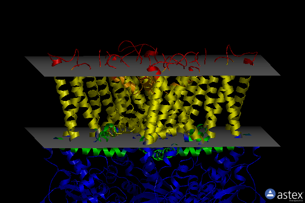 Membrane view of 7lpe