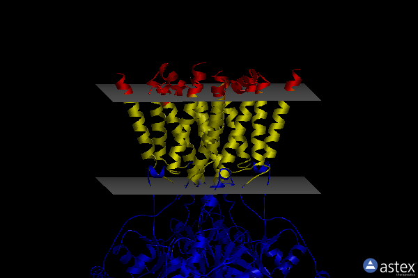 Membrane view of 7lzi