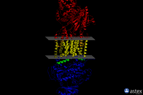 Membrane view of 7m1p