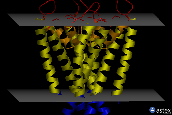 Membrane view of 7m2h