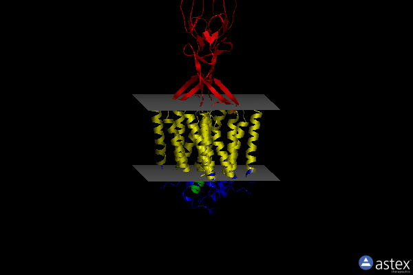 Membrane view of 7m3e