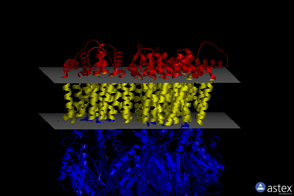 Membrane view of 7m4p