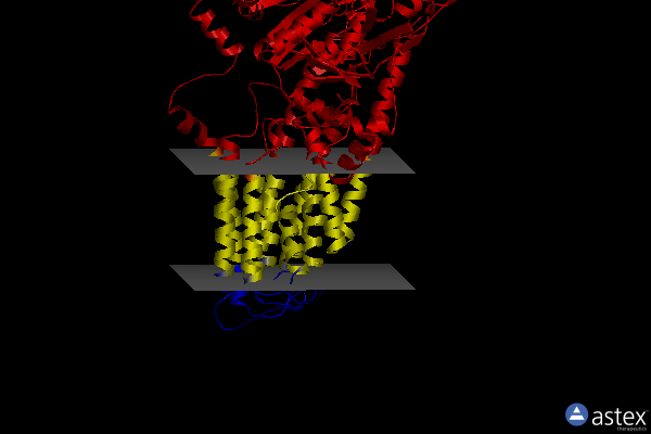 Membrane view of 7m5y