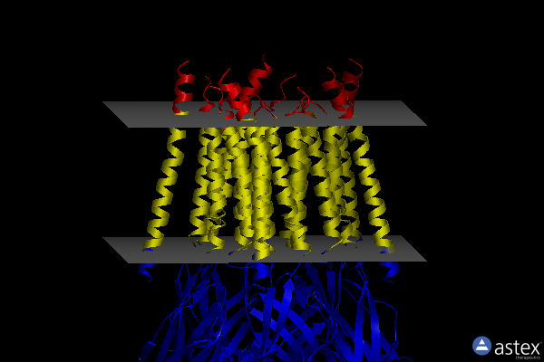 Membrane view of 7m6m