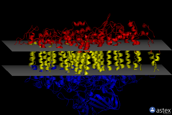 Membrane view of 7m78
