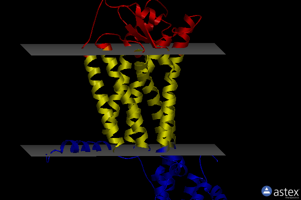 Membrane view of 7m8w