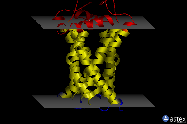 Membrane view of 7m94