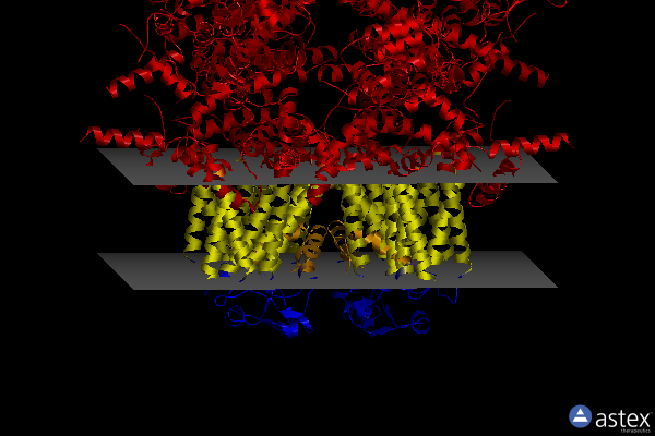 Membrane view of 7mbp