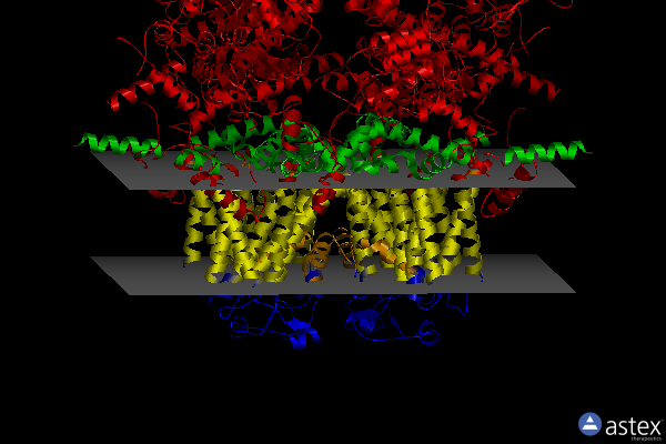 Membrane view of 7mbu
