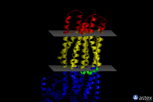 Membrane view of 7met