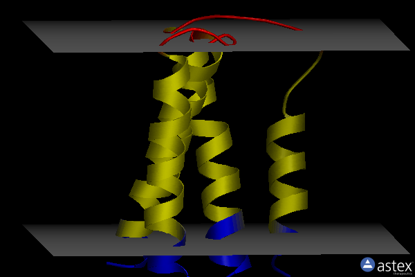 Membrane view of 7mgx