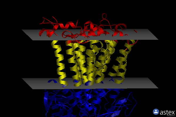 Membrane view of 7mh8