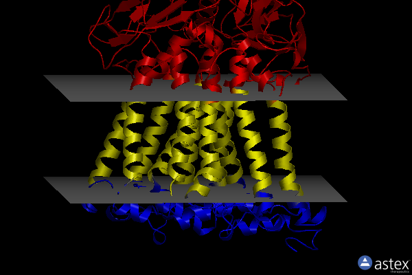 Membrane view of 7mha