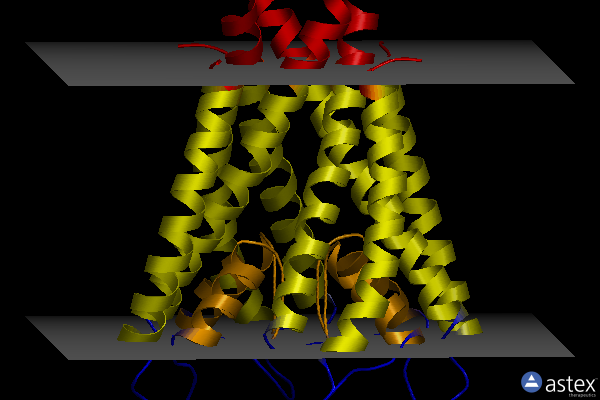 Membrane view of 7mhx