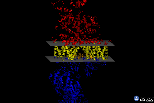 Membrane view of 7miy