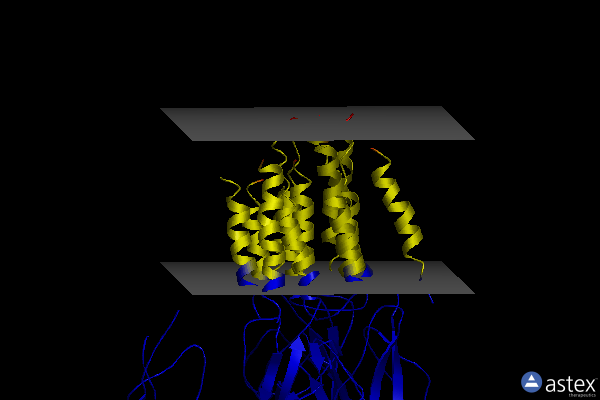 Membrane view of 7mlv