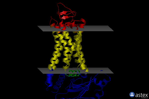 Membrane view of 7mt8
