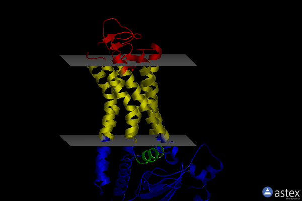 Membrane view of 7mt9