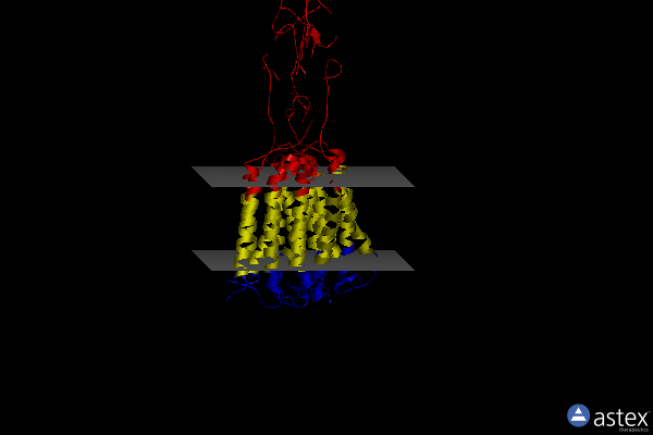 Membrane view of 7mtq