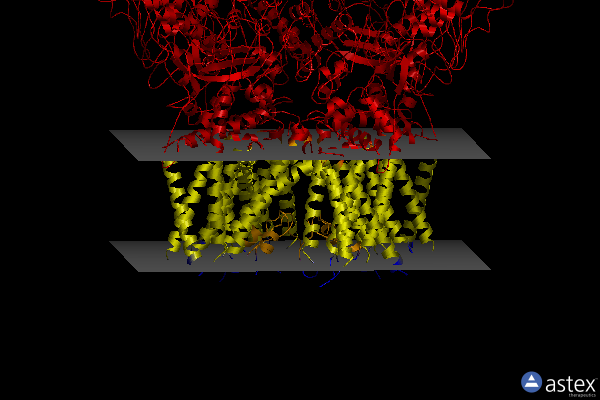 Membrane view of 7n0m