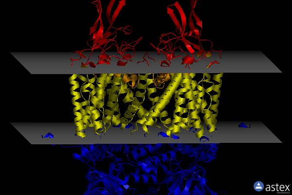 Membrane view of 7n17