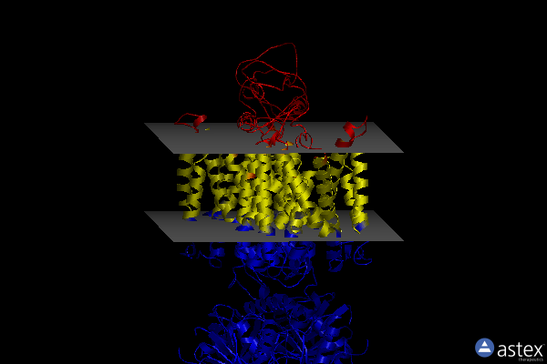 Membrane view of 7n3n
