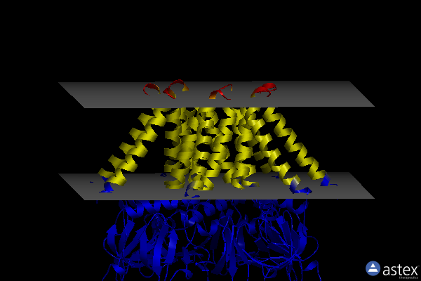 Membrane view of 7n4t