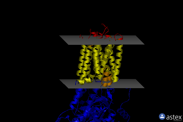 Membrane view of 7n74