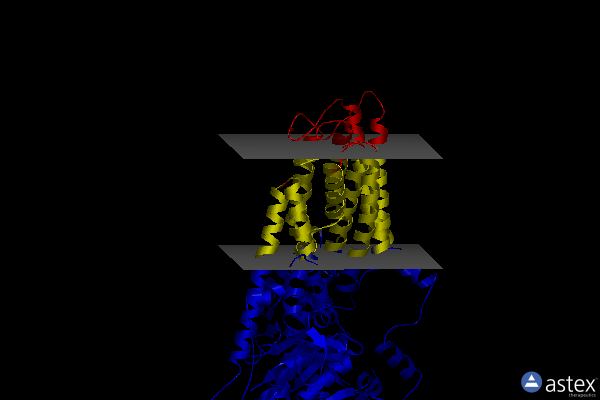 Membrane view of 7n78