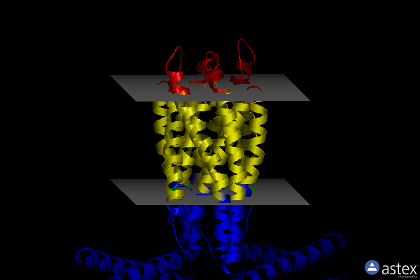 Membrane view of 7n7p