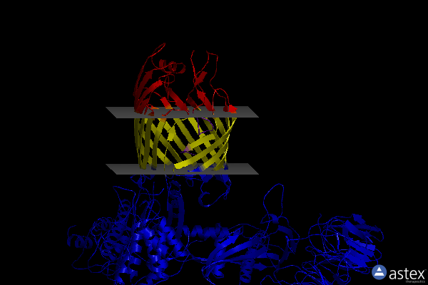 Membrane view of 7nbx
