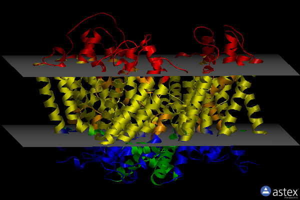 Membrane view of 7ngh