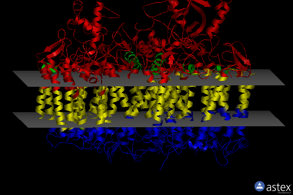 Membrane view of 7nho