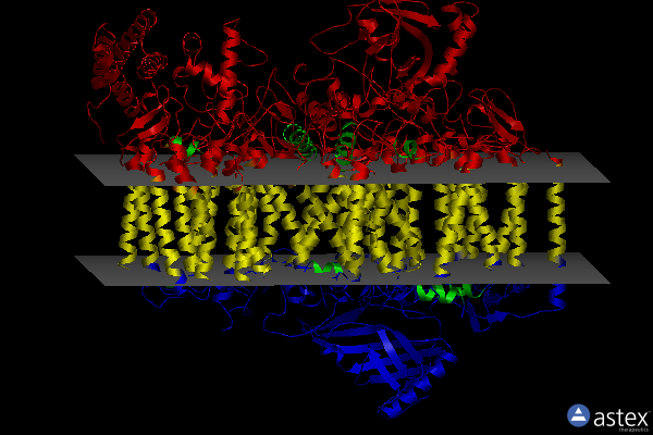 7nhp