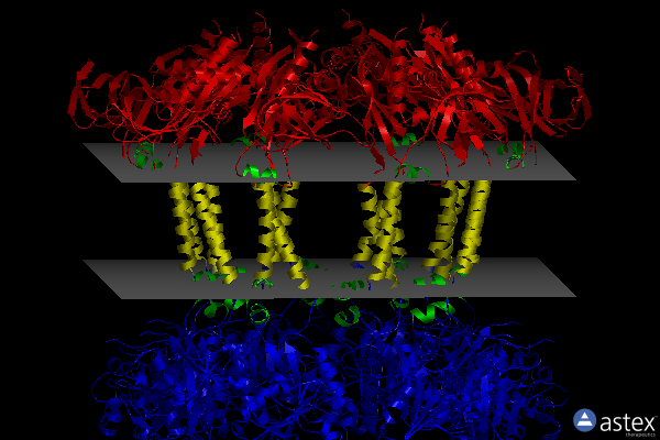 Membrane view of 7nhs