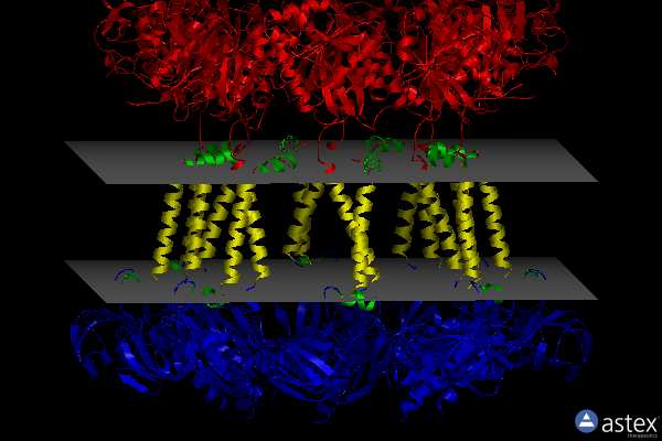 Membrane view of 7ni2