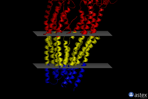 Membrane view of 7niw