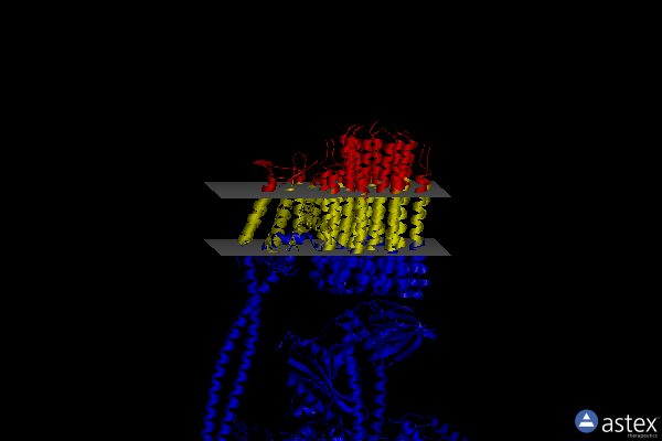 Membrane view of 7njm
